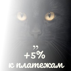 e2b93c7319519ecb132f7cbc1749d2d1 интернет новая линия кубинка телефон